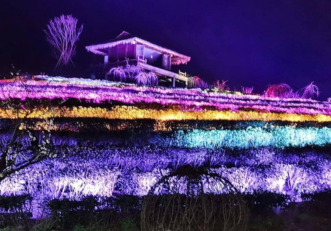 极限竞速地平线3