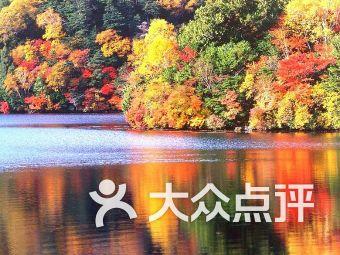 信长野望大志