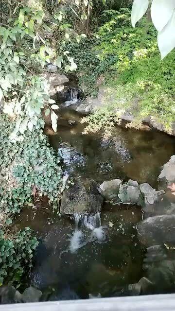 过气英雄