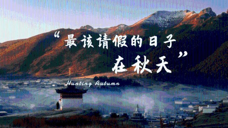 见缝射箭