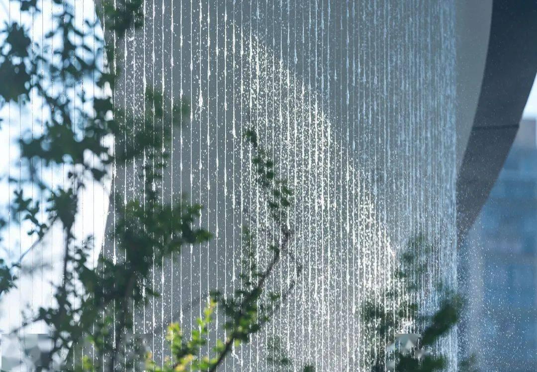 创作猫