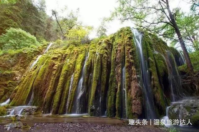 植物大战僵尸8