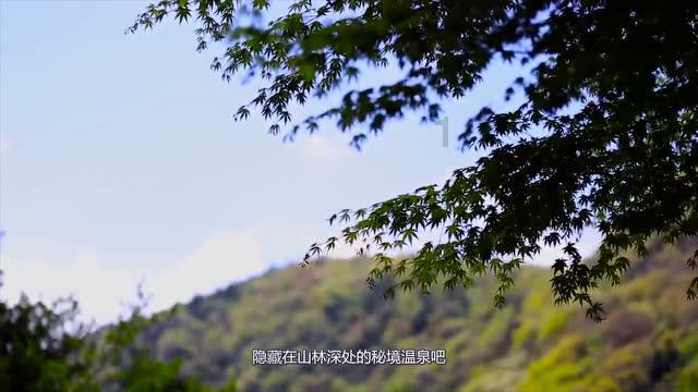 杰茜的欢乐时光