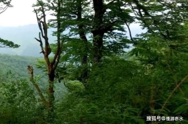 超三国无双4