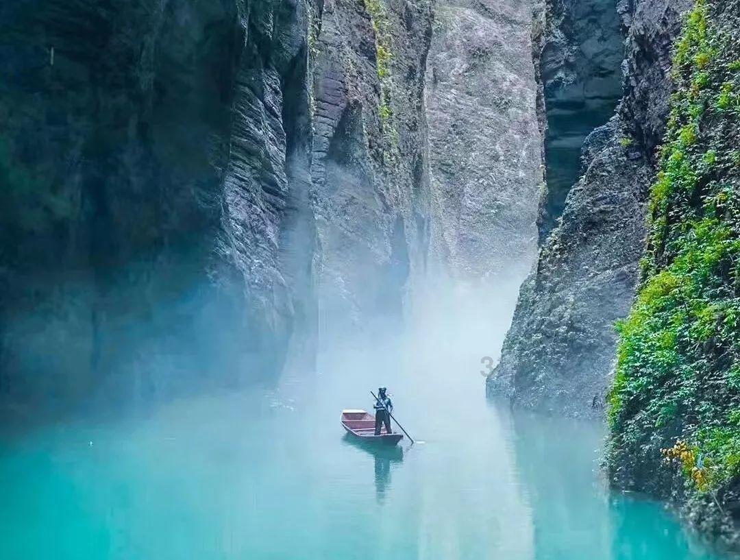 公主的阅读区