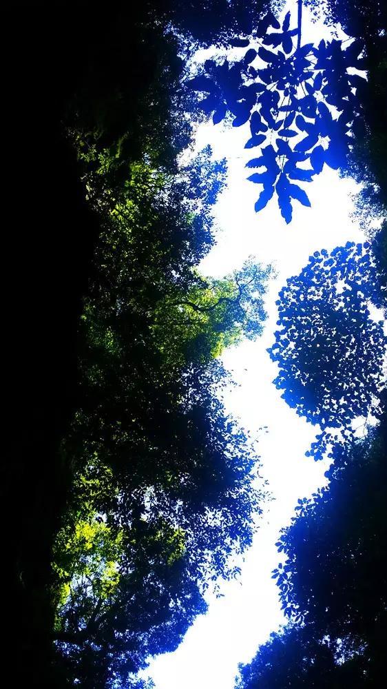《侦察英雄》大结局,最后一集,真实还原当时战争场面,接地气