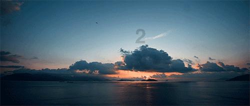 雪纳瑞养狗攻略,雪纳瑞要怎么饲养?