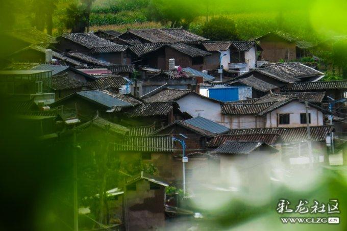 脑洞小老弟无实名认证