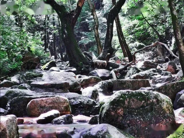 云南山体滑坡已致8人遇难，车行老板驱车前往送保暖衣物，担心妨碍救援后折返