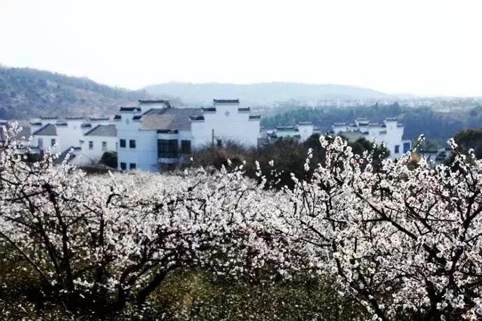 120万一针“抗癌神药”,已有400位患者使用,清零癌细胞真的值吗