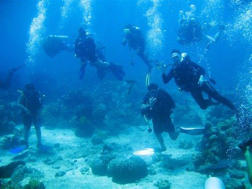 海盗寻宝记选关版