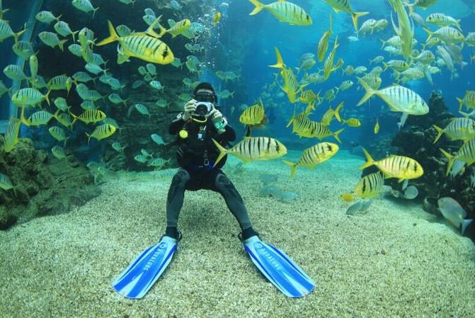 家庭内部防流感健康平安过大年