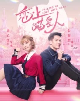 拯救迷路小公主