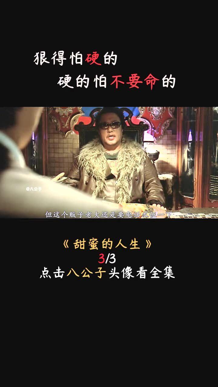 救援呆萌的猫