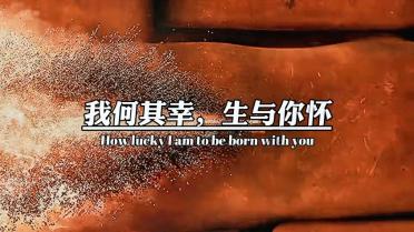 虫虫助手下载