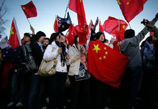 可爱的小孔雀救援