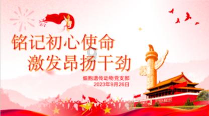 风暴英雄