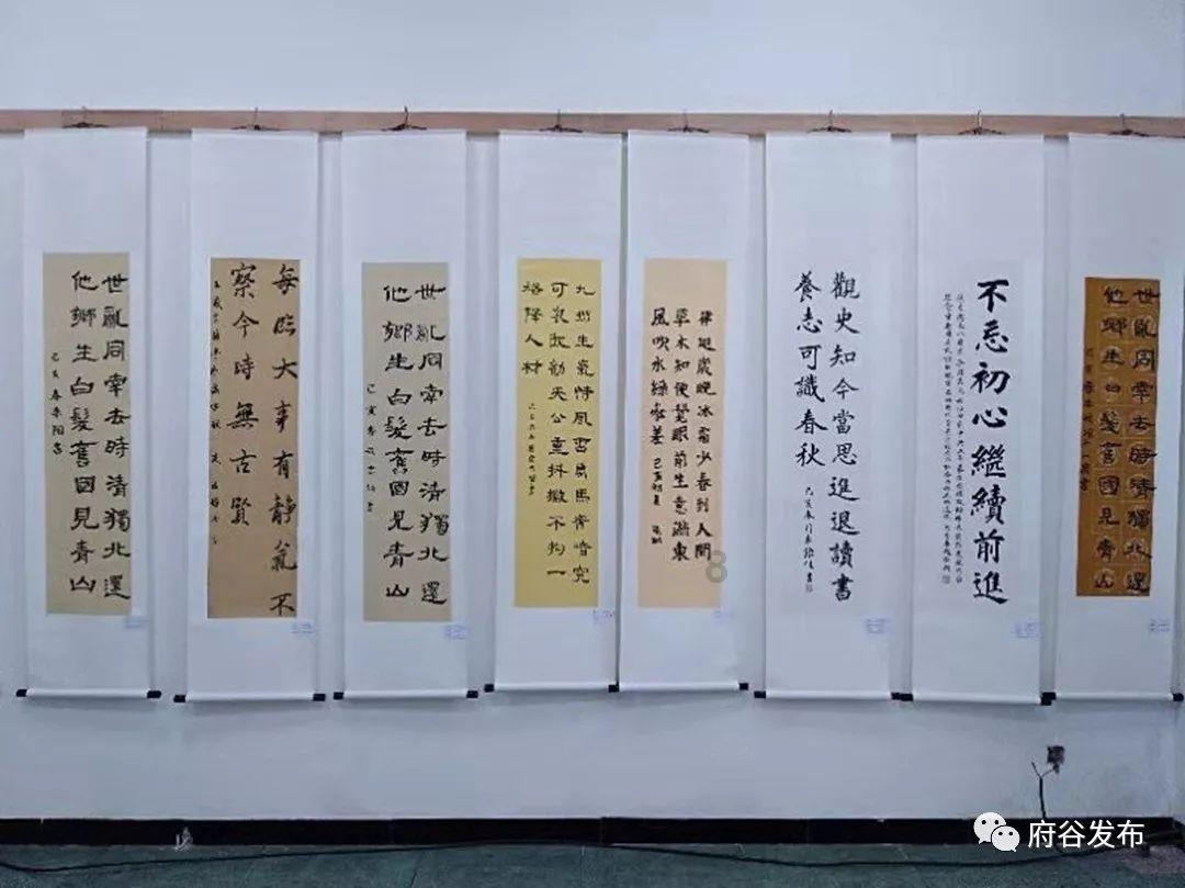 张桂梅被写进中华人民共和国简史，她对我国有过哪些贡献？游戏画面