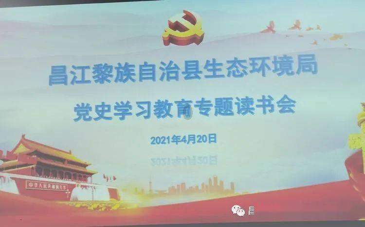 哪里有流浪猫？