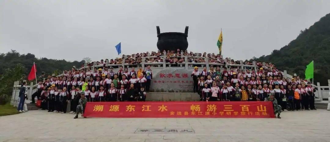 为何菜市场买的了鸡蛋鸭蛋，却买不到鹅蛋？家禽老板甩出3个字