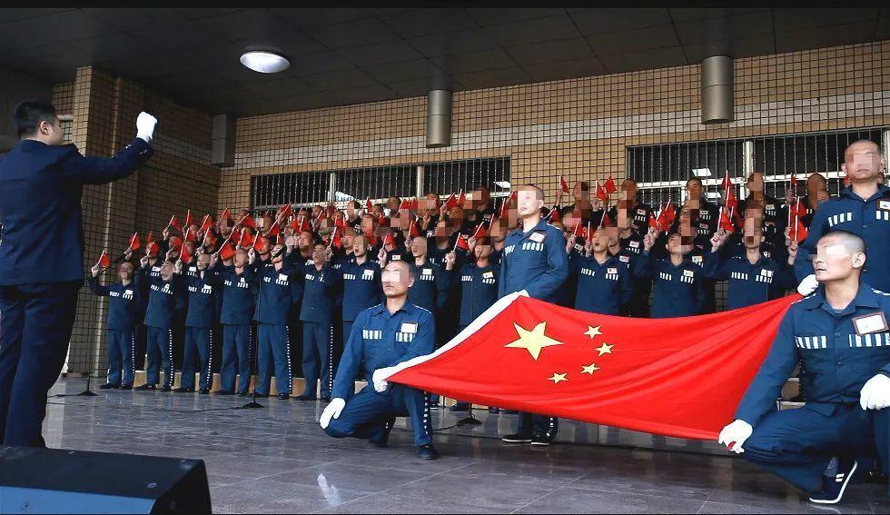 印度一公司CEO表演节目 从6米高笼中坠落身亡