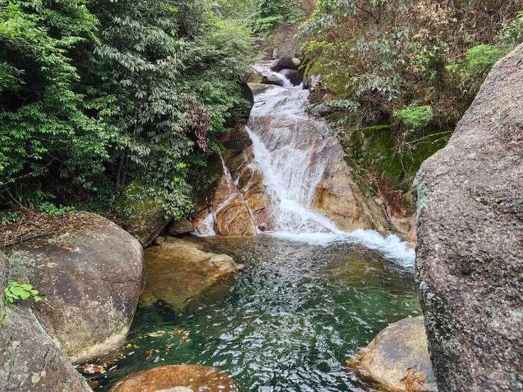是什么让霍太公看呆？水晶宫球迷标语：软弱的决策带领我们倒退