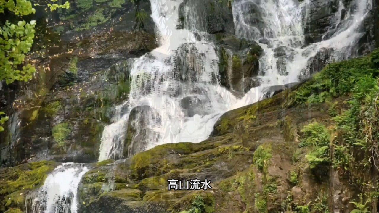 山西省天镇县发布大雾黄色预警