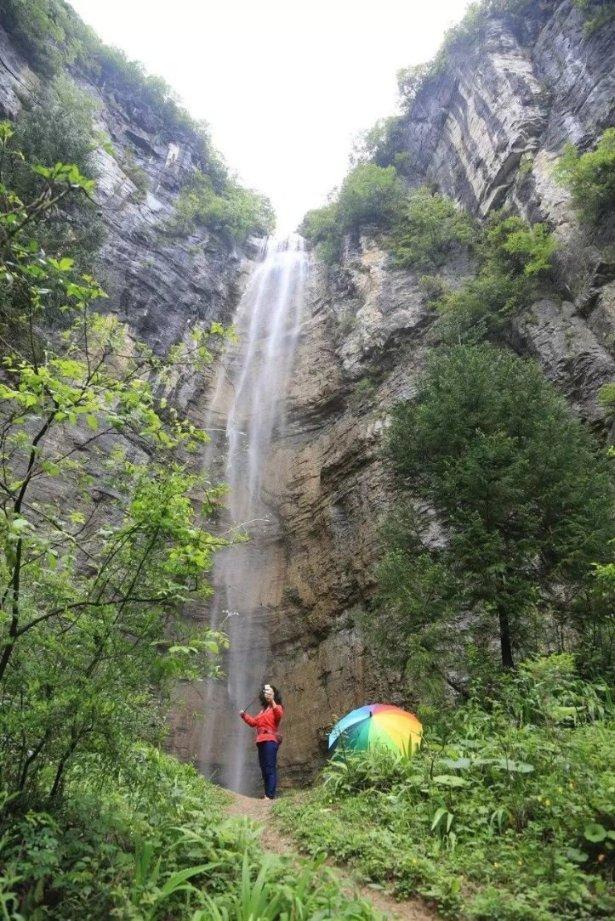 逃离白鸽之森