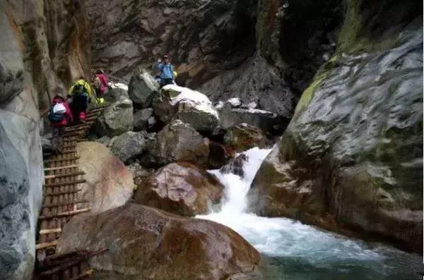 逃离宝藏岛屿