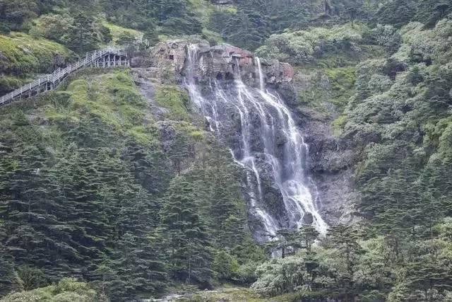 信息化物流管理师有用吗？在哪报名，报考条件是什么？含金量高吗？