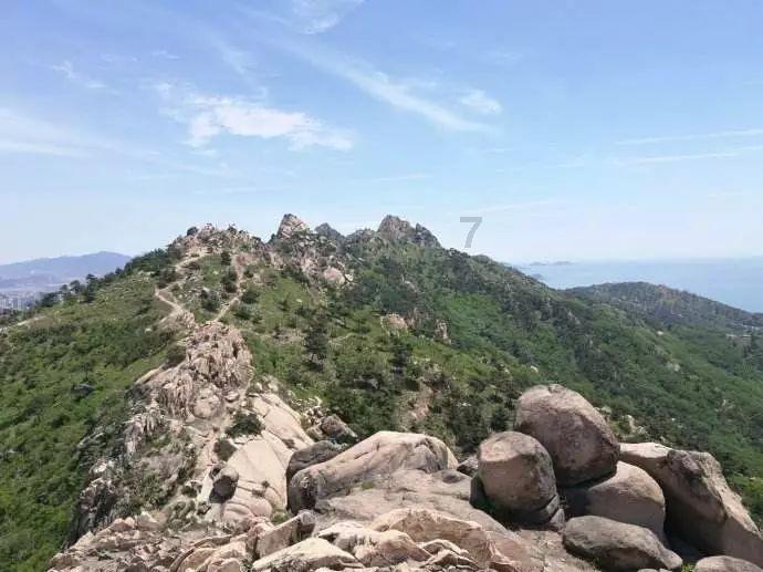 向影心：拿着丈夫当跳板，9年生8娃，因感冒被丈夫关进精神病医院