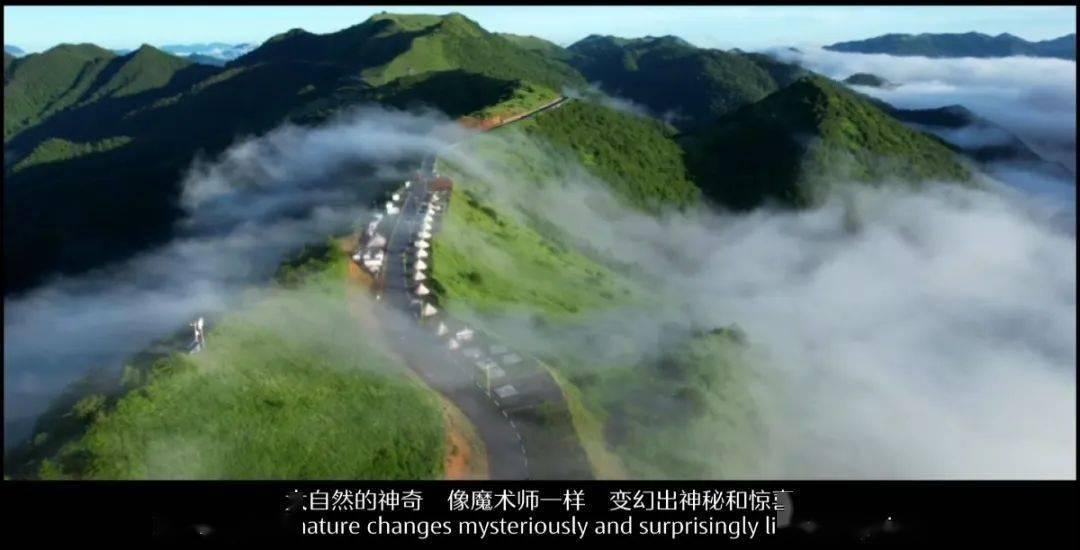 2024年上海体育中考统考取消？网友建议改为合格考，教委正在研究