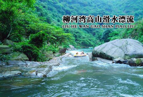 救援有趣的孔雀