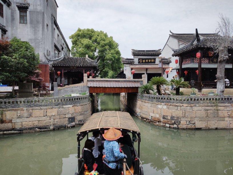 动物帮帮忙保卫家园
