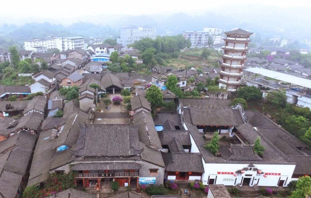 种植中药材 蹚出致富路