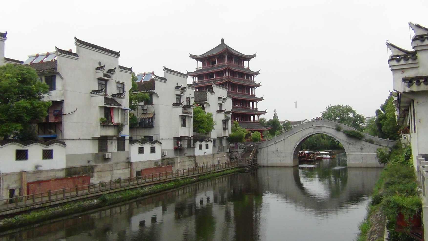 动物帮帮忙保卫家园