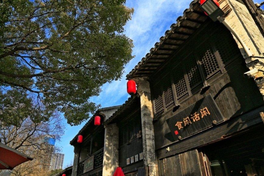 探探猫历险记