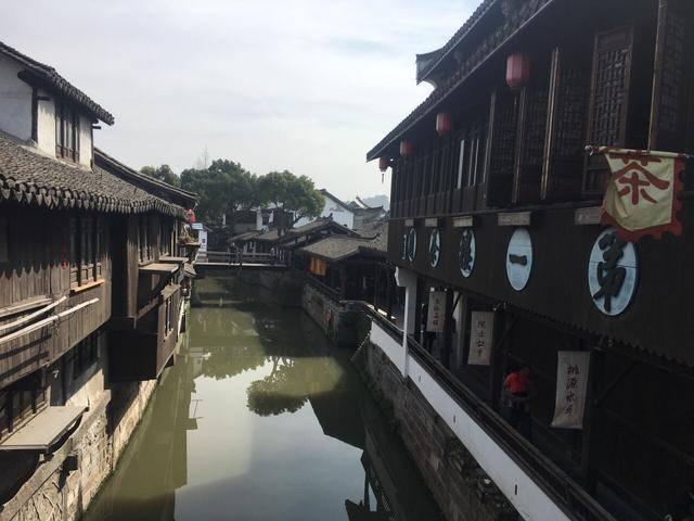 逃离天鹅森林