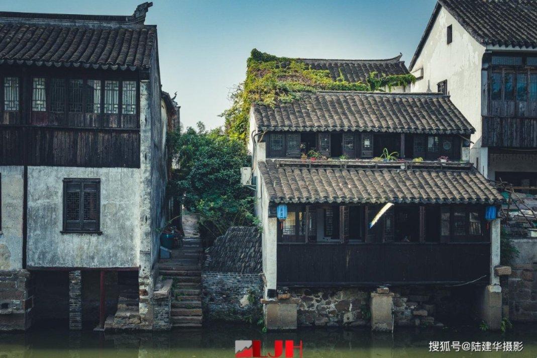 懦弱和老实是不是一个意思?-专业知识星球平台