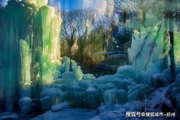 燃烧吧大脑免广告最新版