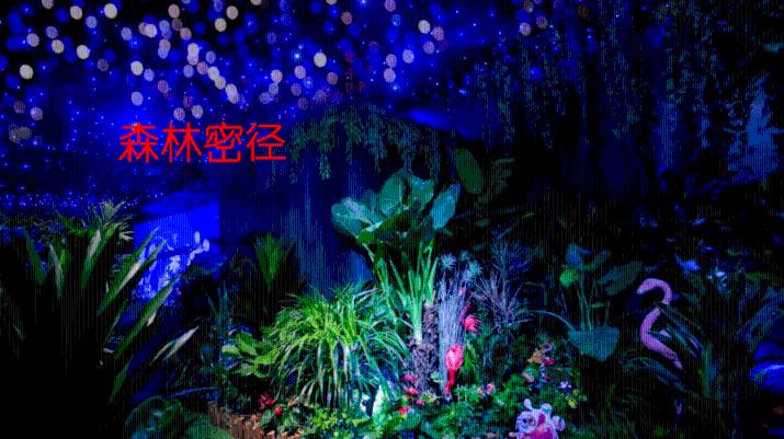 首届“城市杯”羽毛球混合团体挑战赛在南昌成功举办